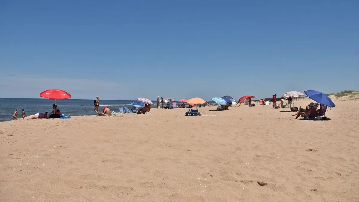 Un hombre trató de ayudar a una ballena encallada en la playa Chihuahua