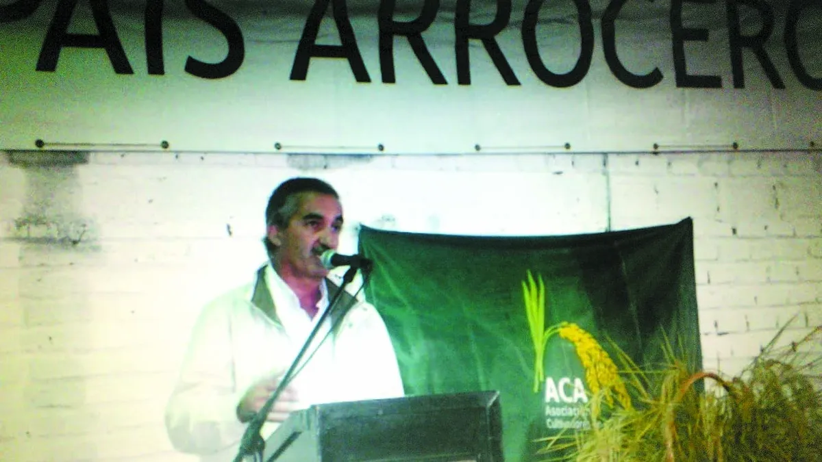 Productores Arroceros Afirman Que Los Costos Jaquean Al Sector