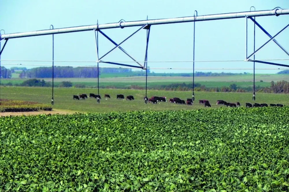 Regadores Unidos del Uruguay llegó para expandir la tecnología del riego en el agro