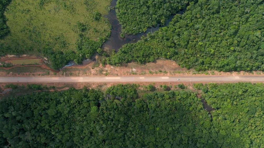 Carretera BR-319 en la Amazonia de Brasil.