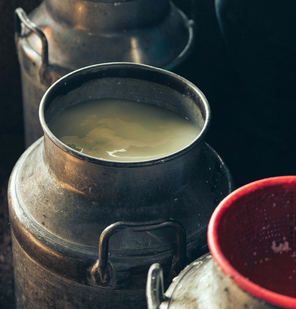 Leche en polvo entera y descremada, quesos y manteca: los lácteos que Uruguay coloca al exterior.