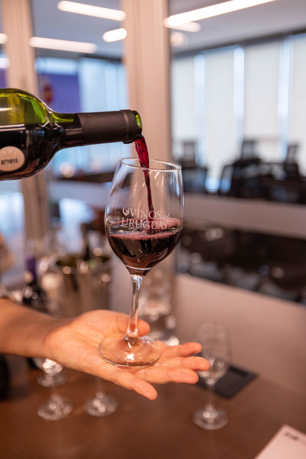 Inavi: lanzamiento de los actos conmemorativos de los 150 años de la viña y el vino en Uruguay.