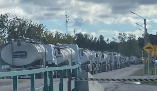 Inale actualizó datos sobre la remisión de leche a los complejos industriales.