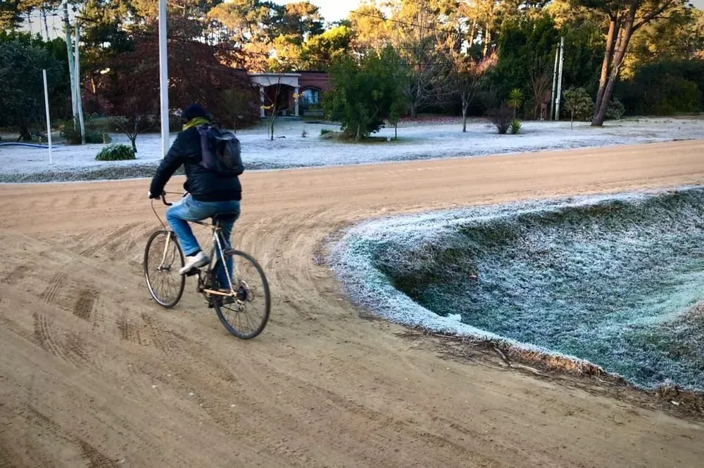 La helada de este viernes de mañana en el Pinar