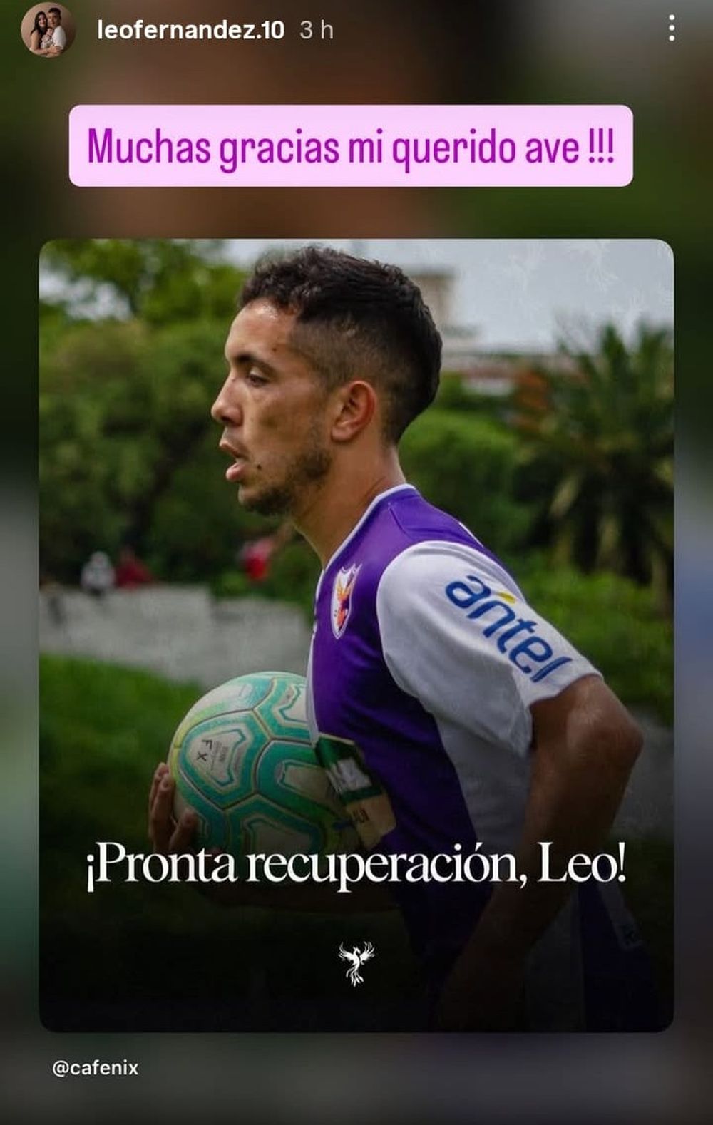 El mensaje de Fénix y la respuesta de Leo Fernández