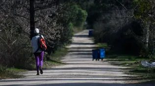 Archivo, 2021. Remanso de Neptunia Archivo, 2021. Remanso de Neptunia