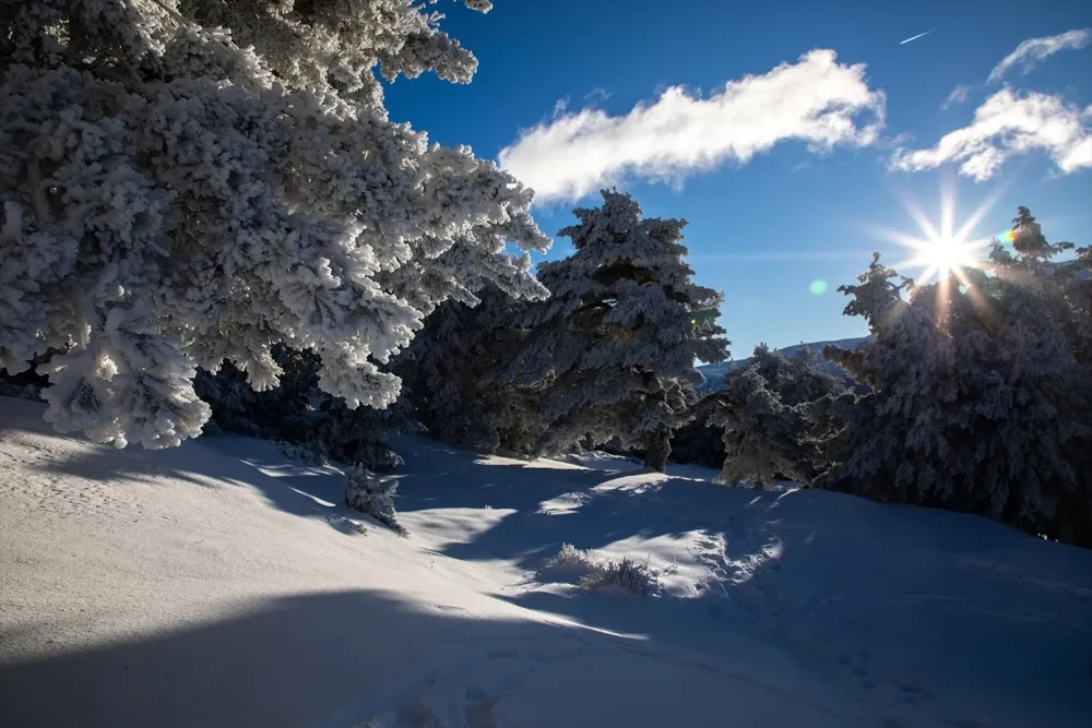 Vista del paisaje nevado en el Puerto de Cotos, a 7 de enero de 2024, en Madrid (España).