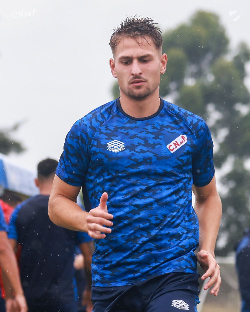 Bruno Damiani
