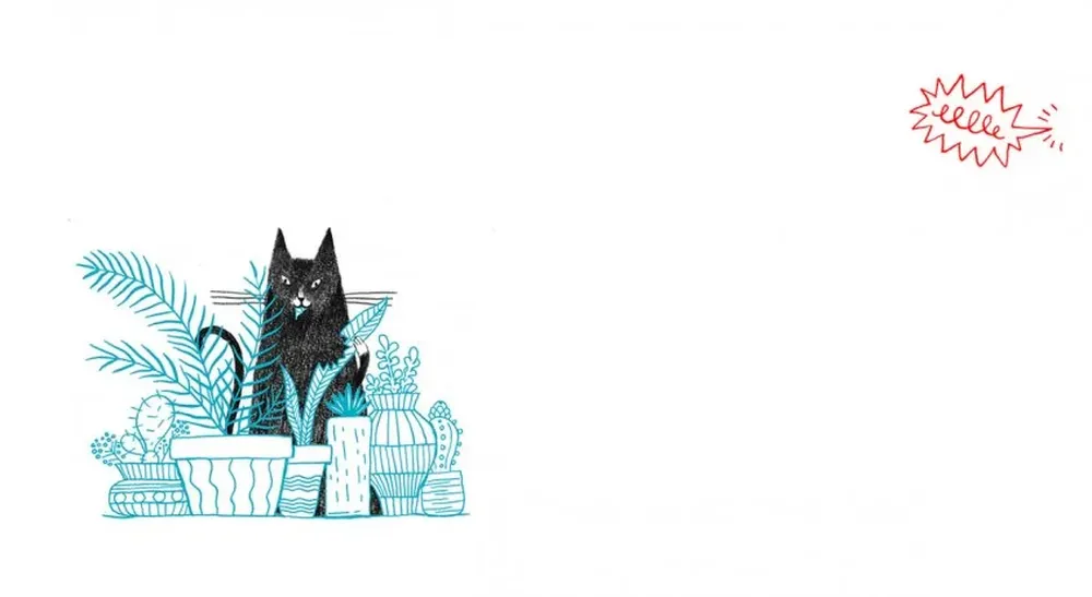 Uno de las ilustraciones de Un día de gatos, de Fran Cunha