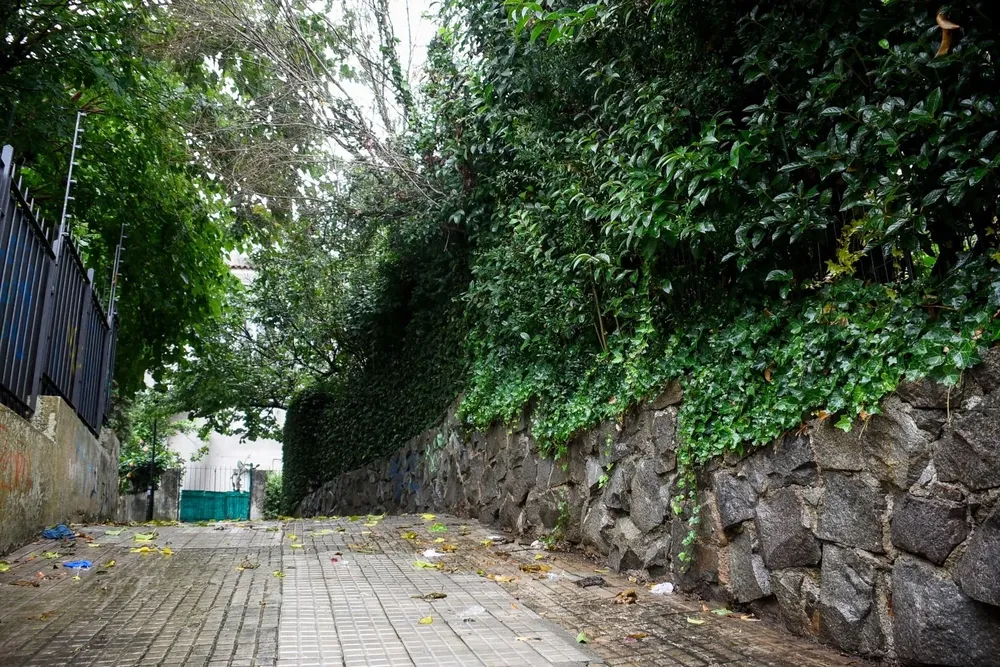 Montevideo pasó a tener 500 brotes más que hace dos semanas