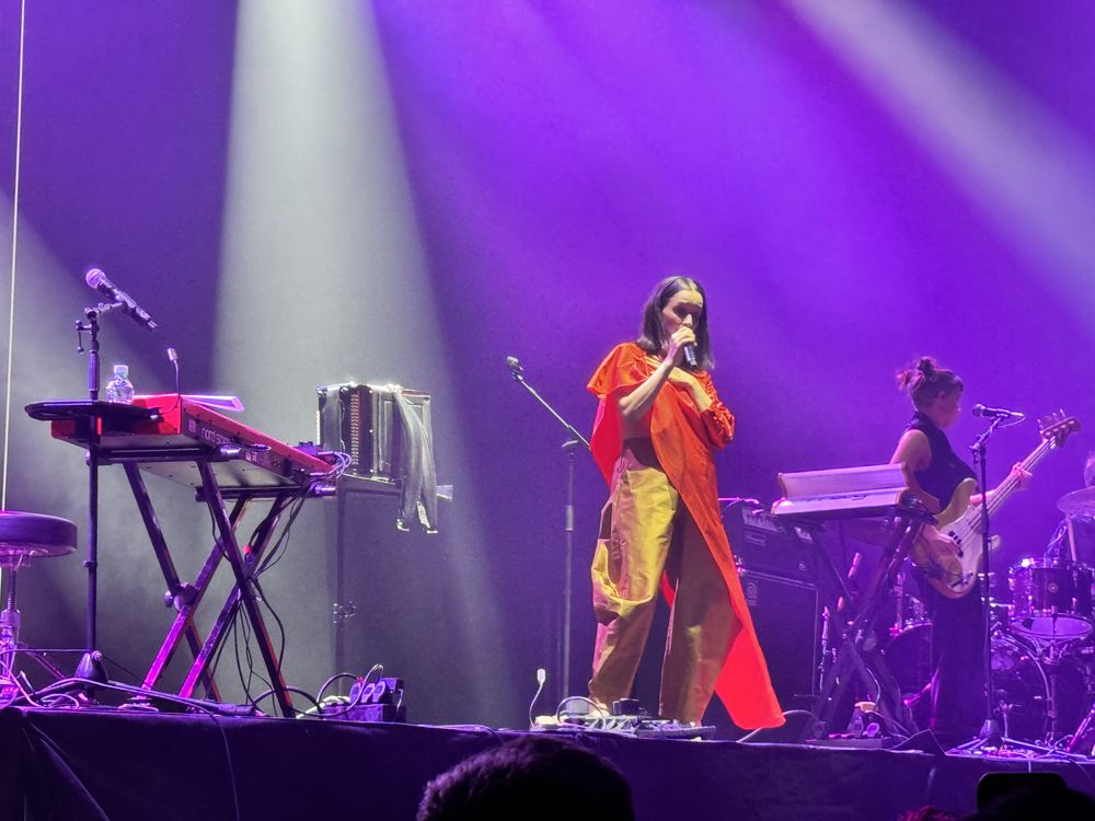 La cantante Julieta Venegas.