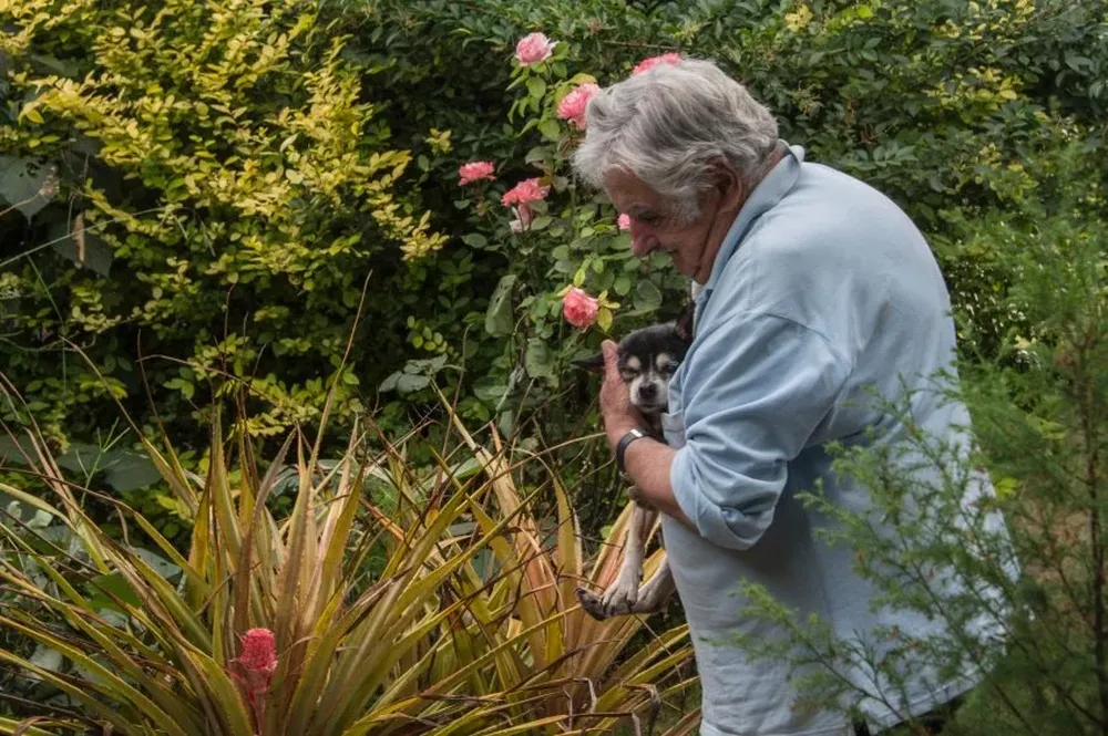 Archivo: José Mujica y su perra Manuela