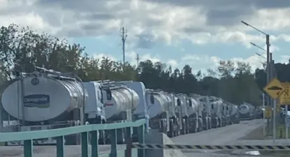 Inale actualizó datos sobre la remisión de leche a los complejos industriales.