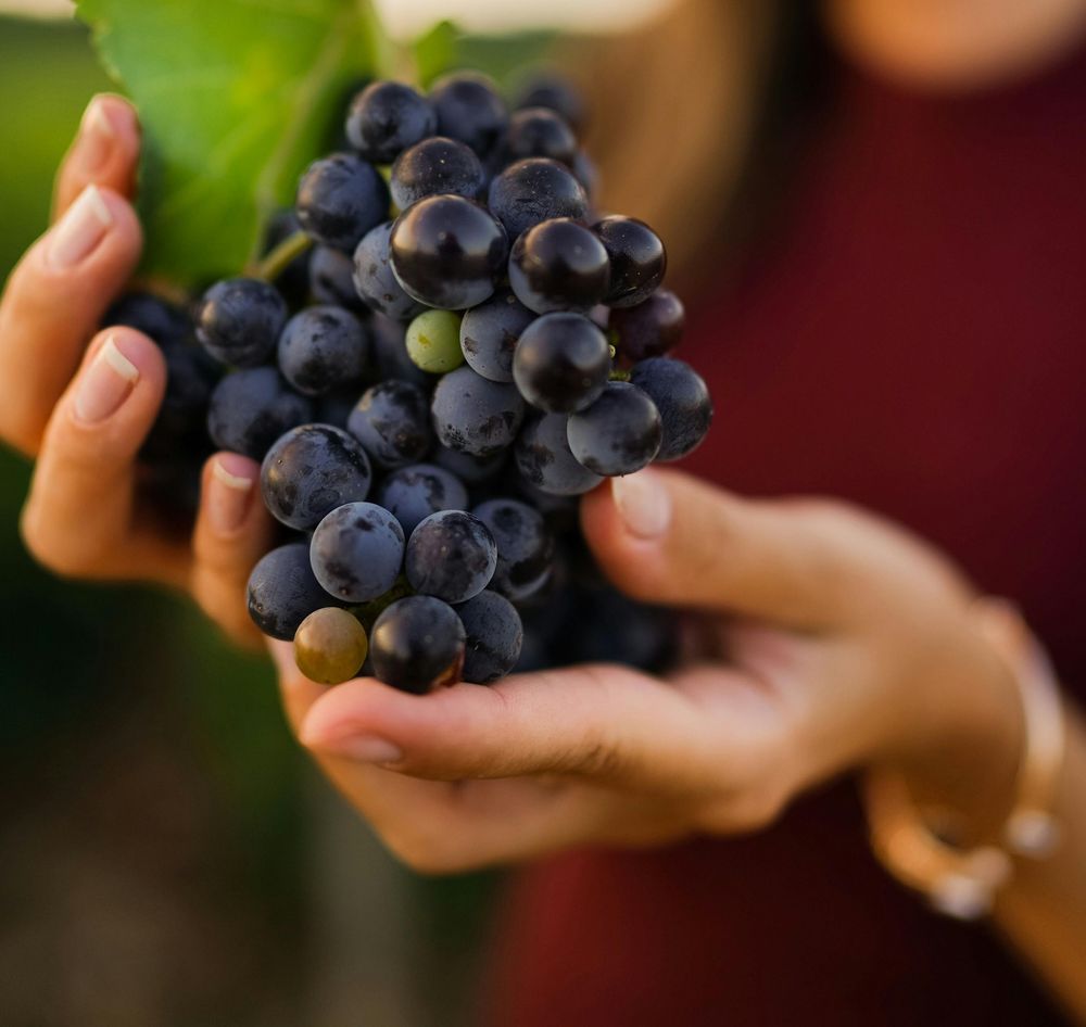 Frutas y verduras: las uvas integran el conjunto recomendado por el Observatorio Granjero.