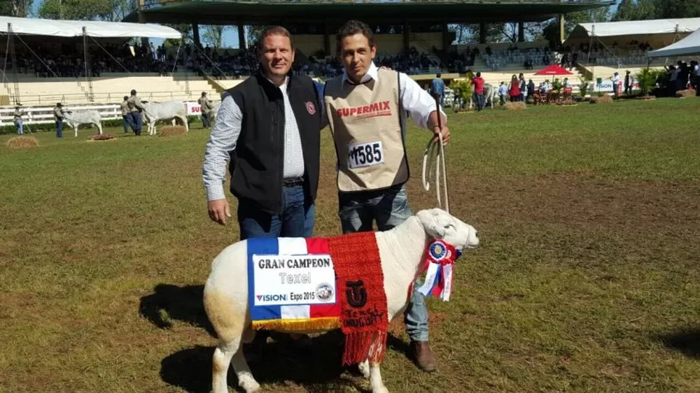 El criador uruguayo Diego Riccetto con el Gran Campeón Texel de la Expo Paraguay 2015