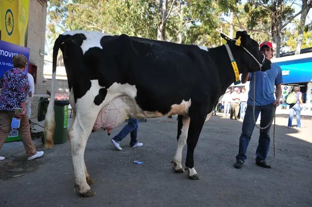 La campeona de producción en el Holando de La Muesca