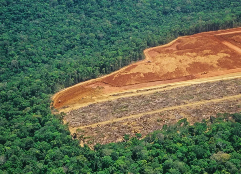 UE y un tema que genera controversias: su exigencia de libre de deforestación en varios productos que importa.