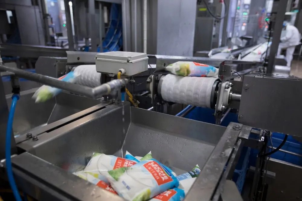 Producción de leche fresca en planta de Conaprole.