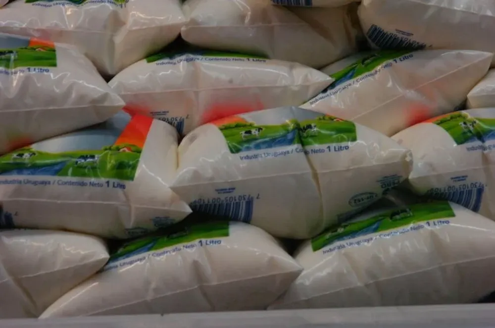 Plantean un precio de $ 25 para la leche fresca que consume la población