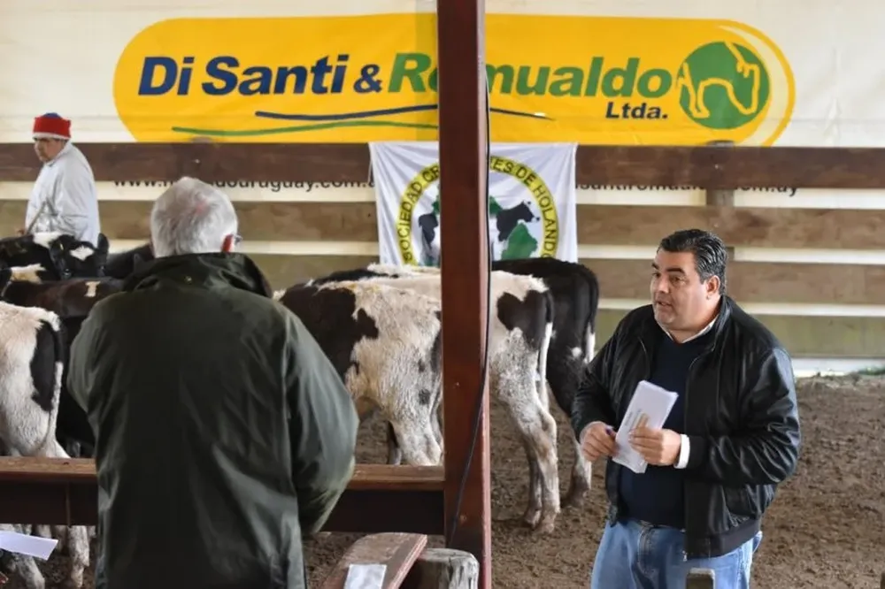 Organiza, remata y administra Di Santi & Romualdo Ltda