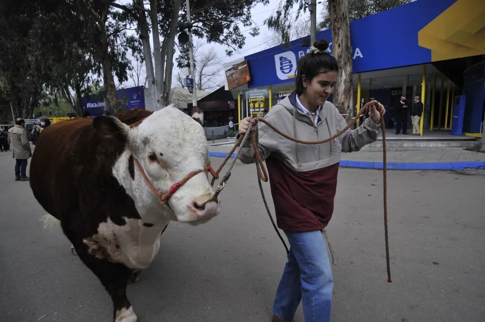 Vuelve la fiesta del campo y la ciudad.