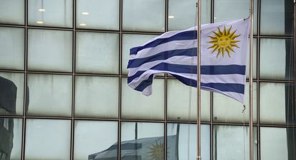 El destaque de una aceleradora europea a un emprendedor uruguayo: su app está revolucionando los viajes interurbanos en Latam
