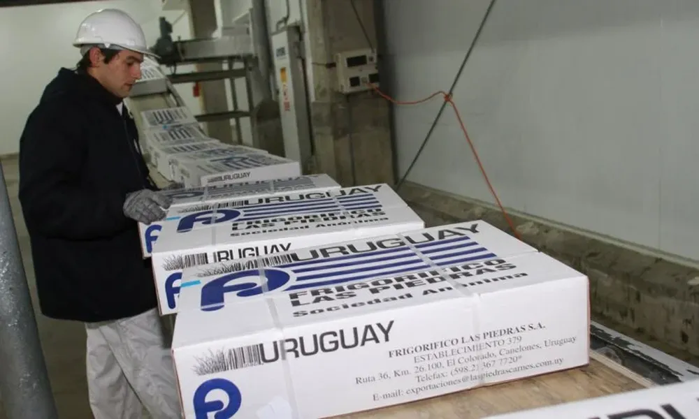 Crecen las colocaciones de carne vacuna uruguaya en los mercados