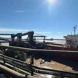 Incautan en un puerto de Santa Fe un cargamento de 482 kilos de cocaína con destino Ámsterdam y escala previa en Montevideo