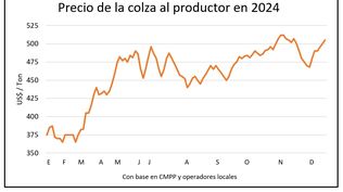 Mercado de granos: la colza en gran momento.