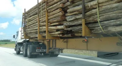 El Observador | 0008712771.webp