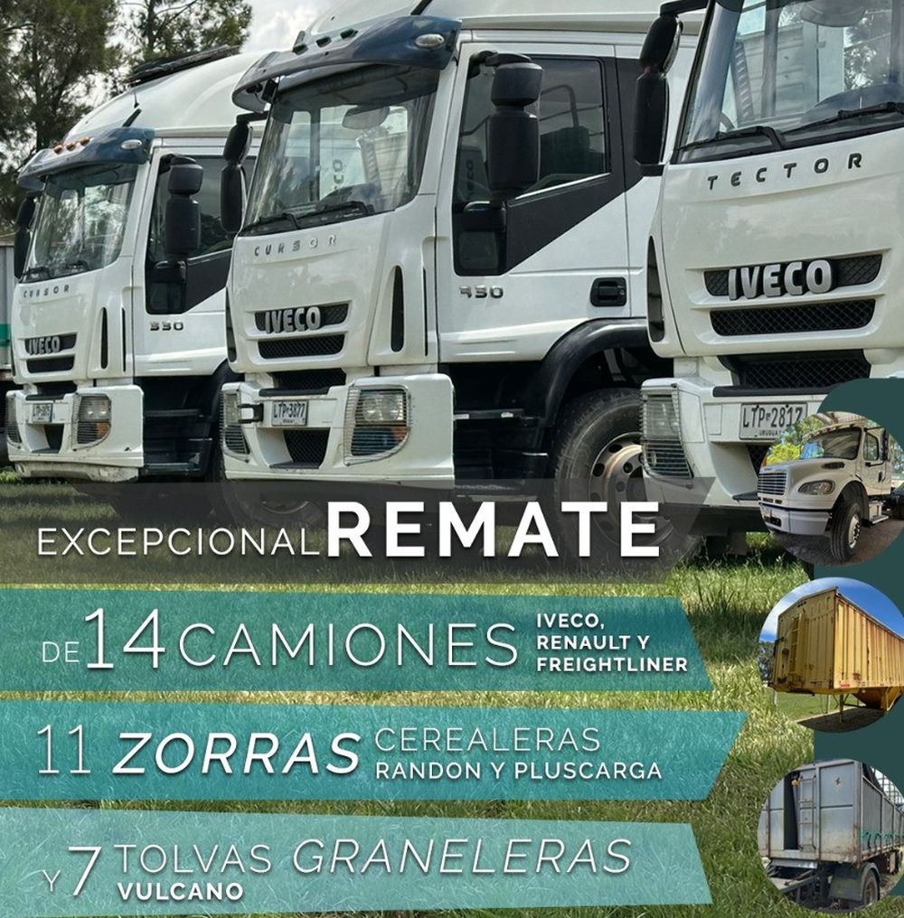 Teexeira- Material.jpg