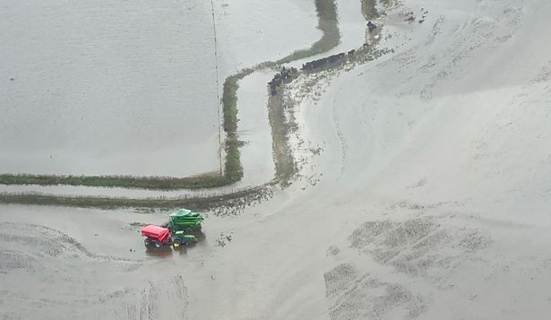 Cosecha de arroz en 2024: campos inundados y maquinaria quieta, en varias chacras.