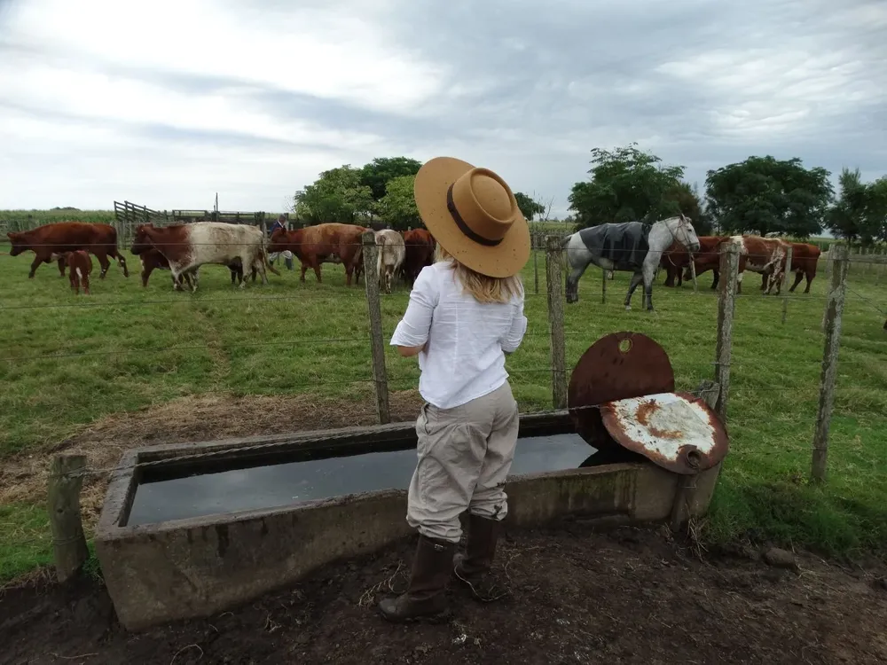 Tras la sequía, una tormenta en la ganadería.