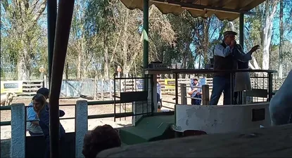 federico rodriguez rematara criollos este sabado desde el conventos