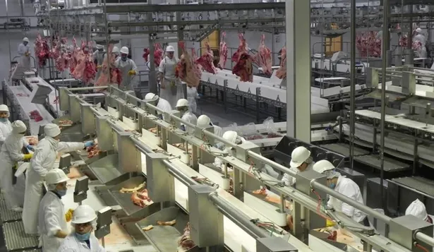 Frigorífico BPU del Grupo Minerva