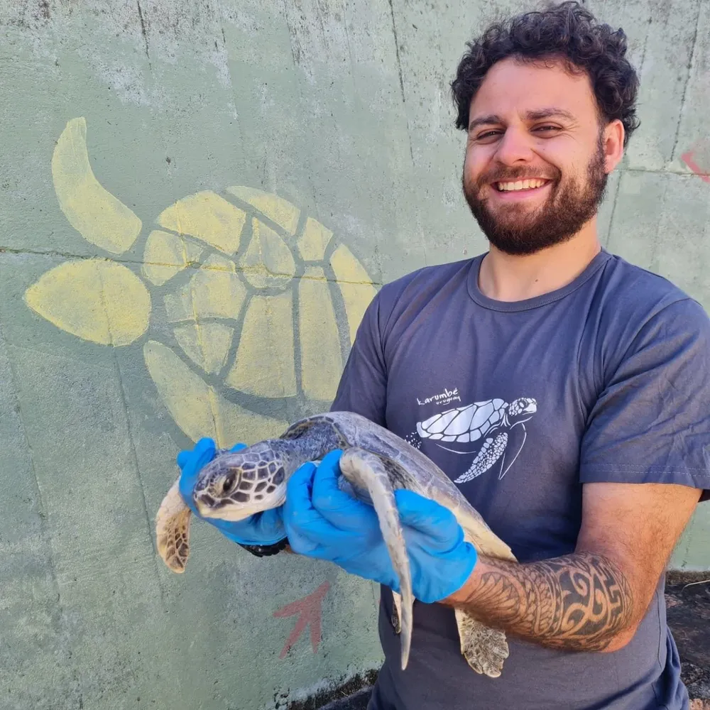 Ordoqui con una tortuga pronta para volver al mar