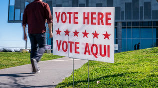 Radiografía del voto latino: cuáles son los temas que movilizan a la decisiva comunidad hispana para las elecciones de noviembre