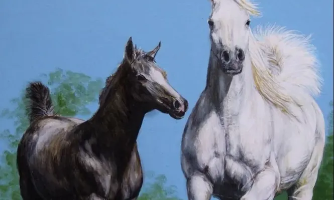 La venta de Haras Los Méndez se hará en la web de Zambrano & Cía.