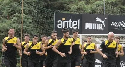 Arrancó el 2016 mirasol