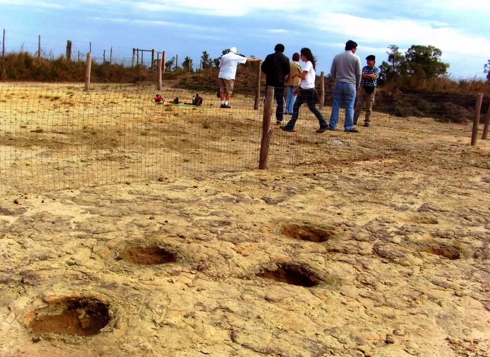 En el yacimiento de Cuchilla del Ombú se descubrió el primer núcleo de huellas de dinosaurio de Uruguay y ahora las evidencias del animal más grande