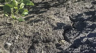 Esta línea estará vigente hasta el 30 de junio de 2023.