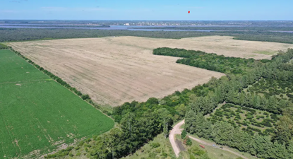 El Observador | HIF predio.png