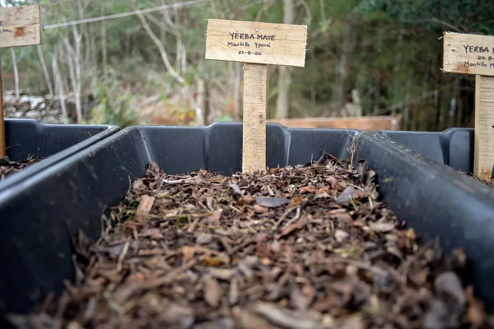 Ambá, un proyecto en las sierras de Rocha.