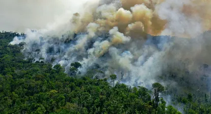 Archivo, 2020. Un segmento del Amazonas en fuego