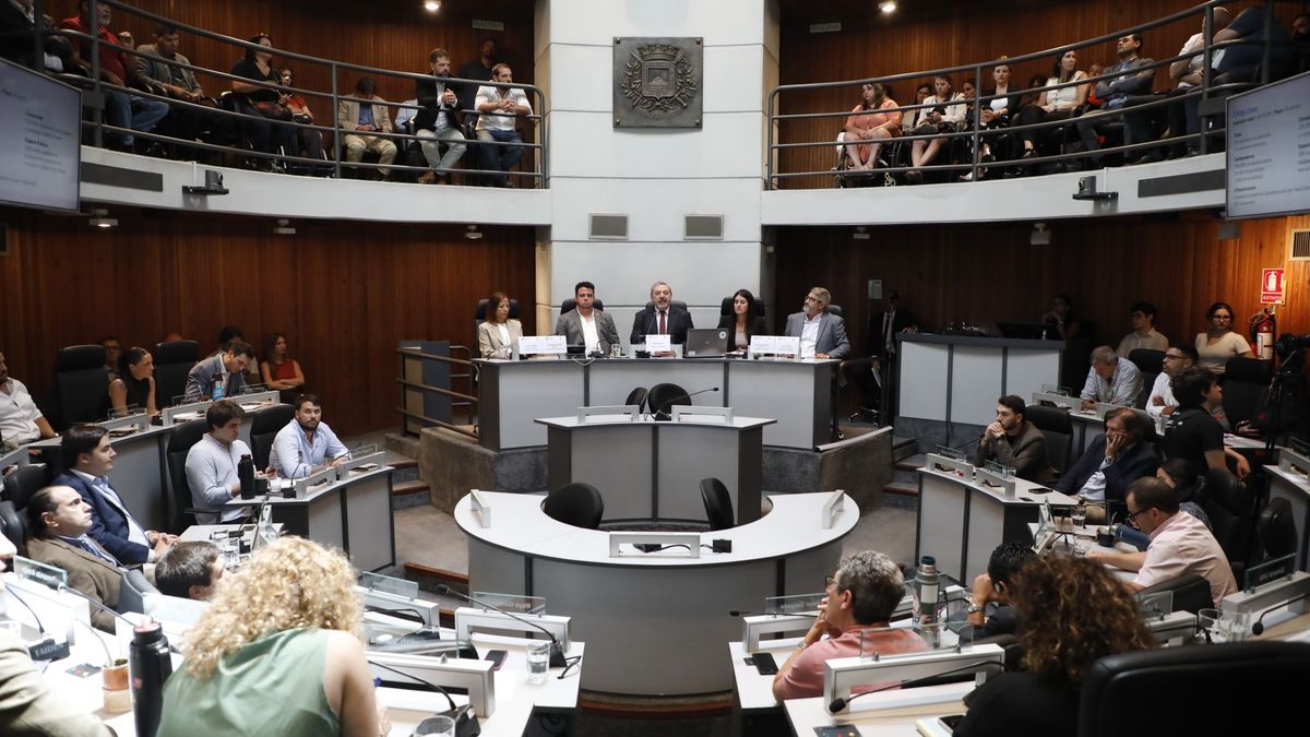 Apoyo a fideicomisos de Bergara genera diferencias en la int