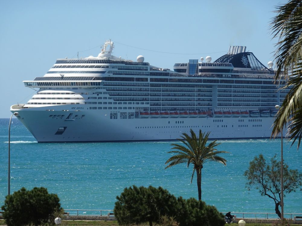 Las posiciones de empleo comunes en un crucero incluyen camareros, cocineros y personal de limpieza.