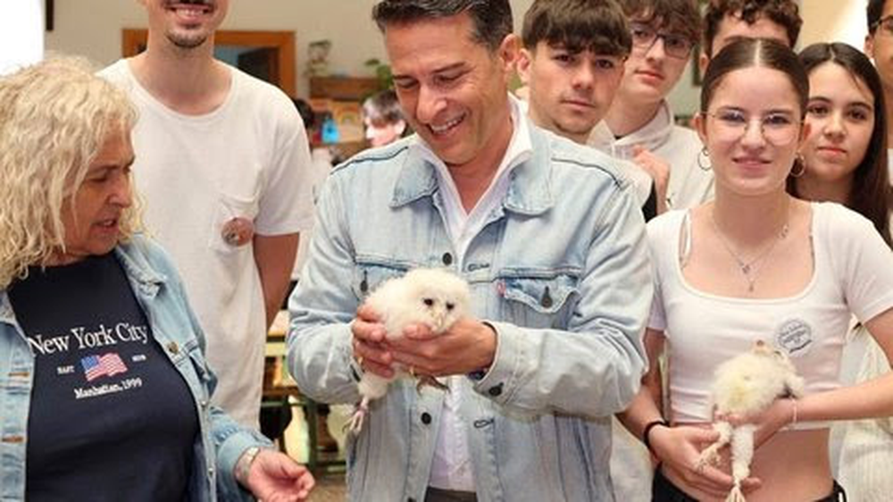 Protegerán lechuzas blancas en una escuela de Torrox