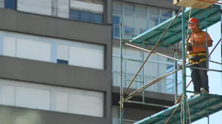 Mercado de seguros creció 2,1% en 2016