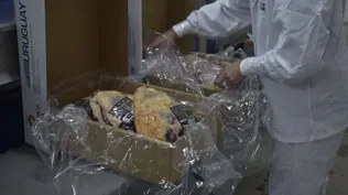 INAC convoca a profesionales interesados en ser parte del Registro de Profesionales Independientes.