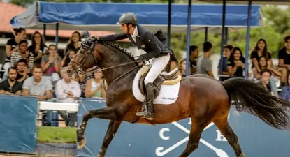 Rafael Rodríguez